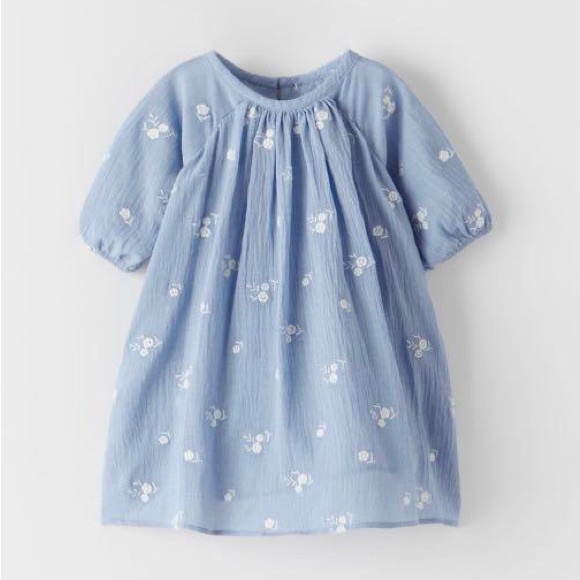 Zara Other - ZARA Baby Girls Light Blue Embroidered Floral Lined Dress Size 2-3Y